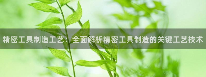 彩神争霸官方下载2017：精密工具制造工艺：全面解析精密工具制造的关键工艺技术