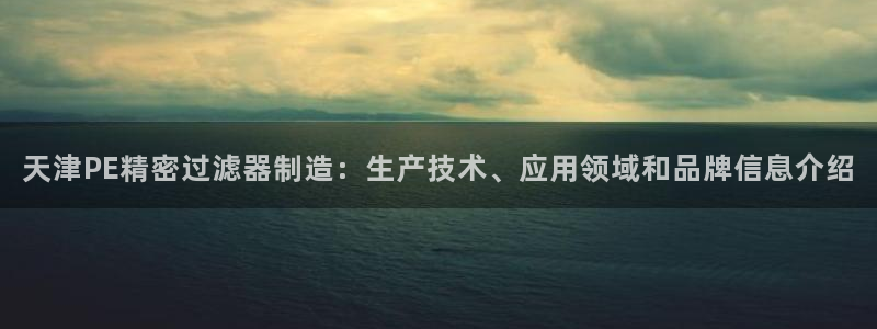 下载彩神乐发V：天津PE精密过滤器制造：生产技术、应用领域和品牌信息介绍