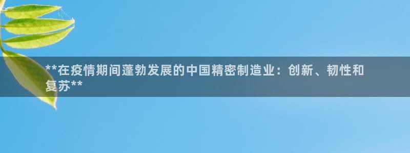 彩神V集团有限公司：**在疫情期间蓬勃发展的中国精密制造业：创新、韧性和
复苏**