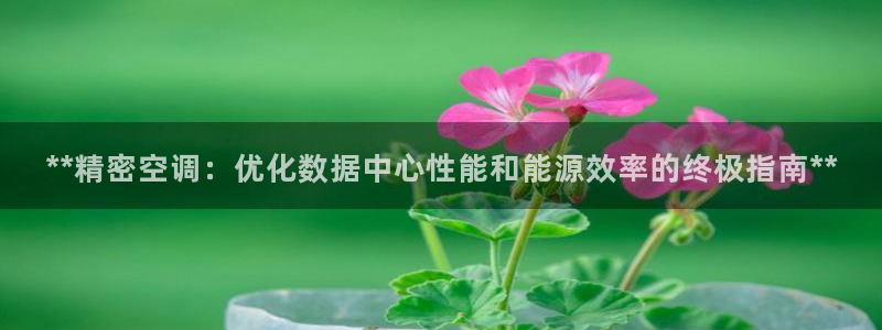 彩神iv能赚钱吗：**精密空调：优化数据中心性能和能源效率的终极指南**