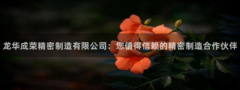 彩神v8手机客户端：龙华成荣精密制造有限公司：您值得信赖的精密制造合作伙伴